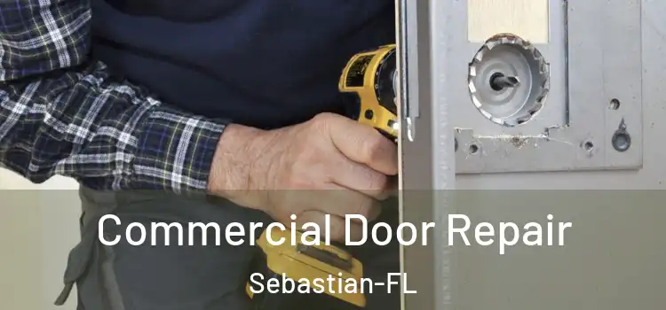  Commercial Door Repair Sebastian-FL