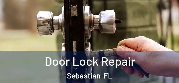  Door Lock Repair Sebastian-FL