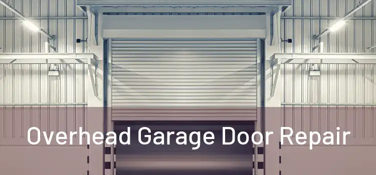  Overhead Garage Door Repair 